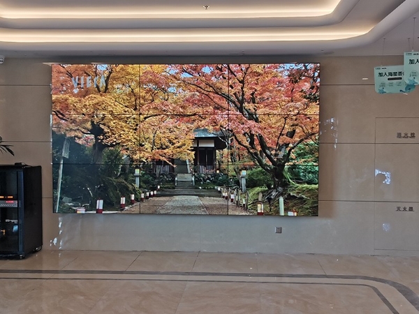 日照某整形医院